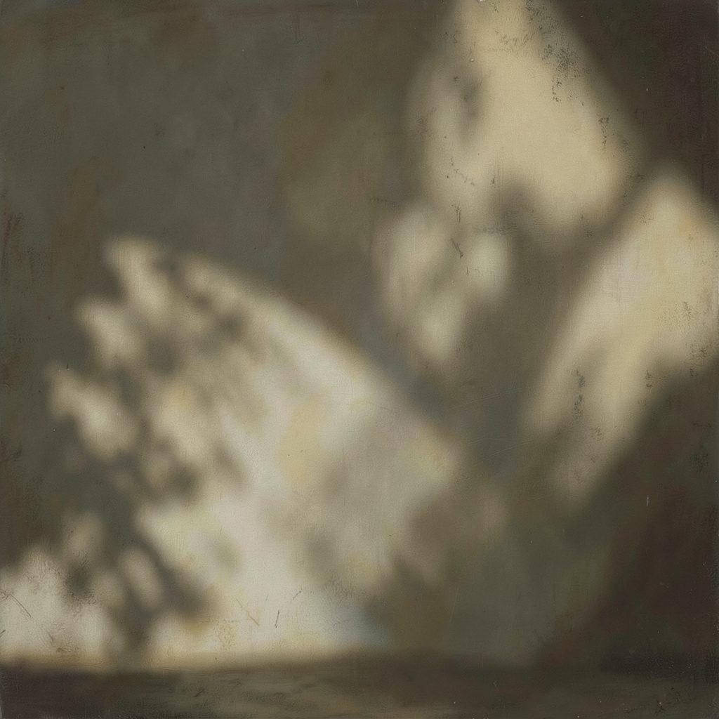 Abstract fine-art composition with soft shadows and muted earth tones, contemplative and atmospheric